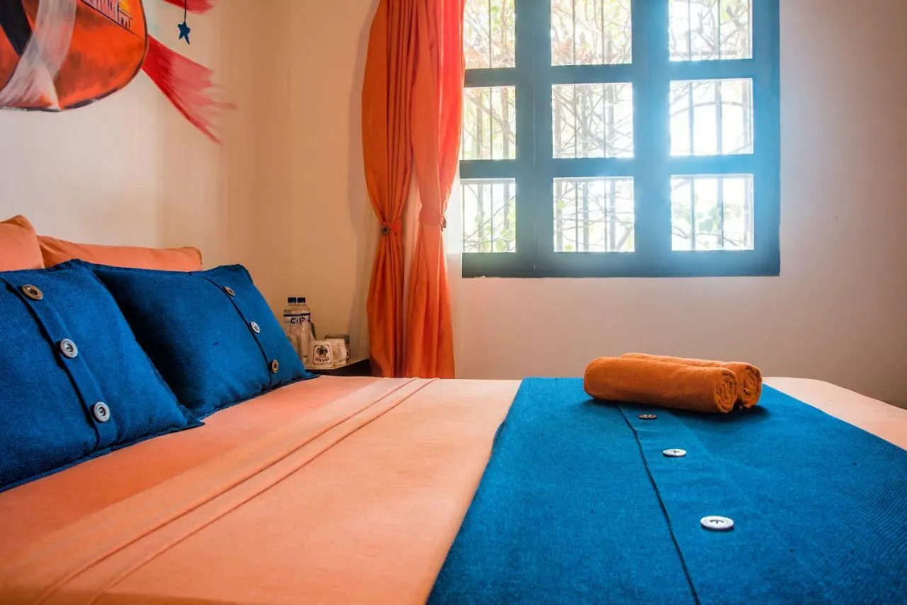 Hostel Dreamer Santa Marta