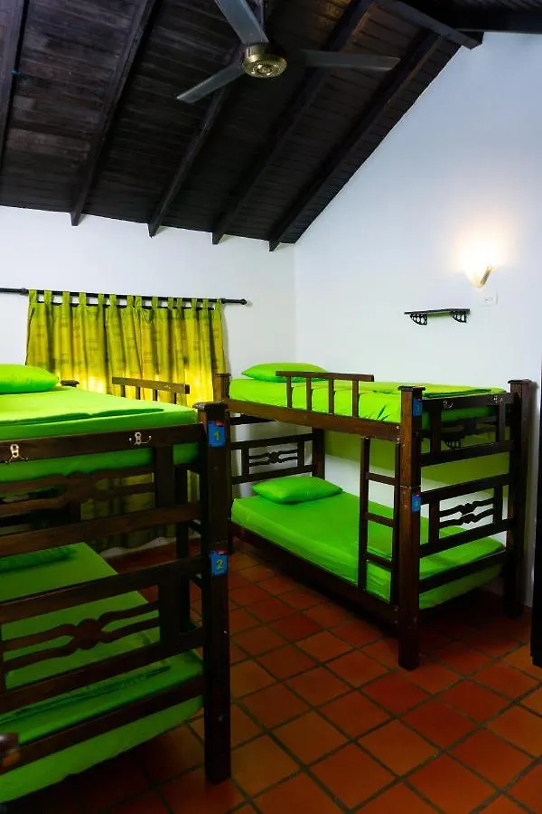 Hostel Dreamer Santa Marta Kolombiya